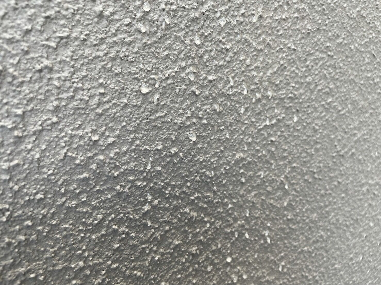 S__5251080