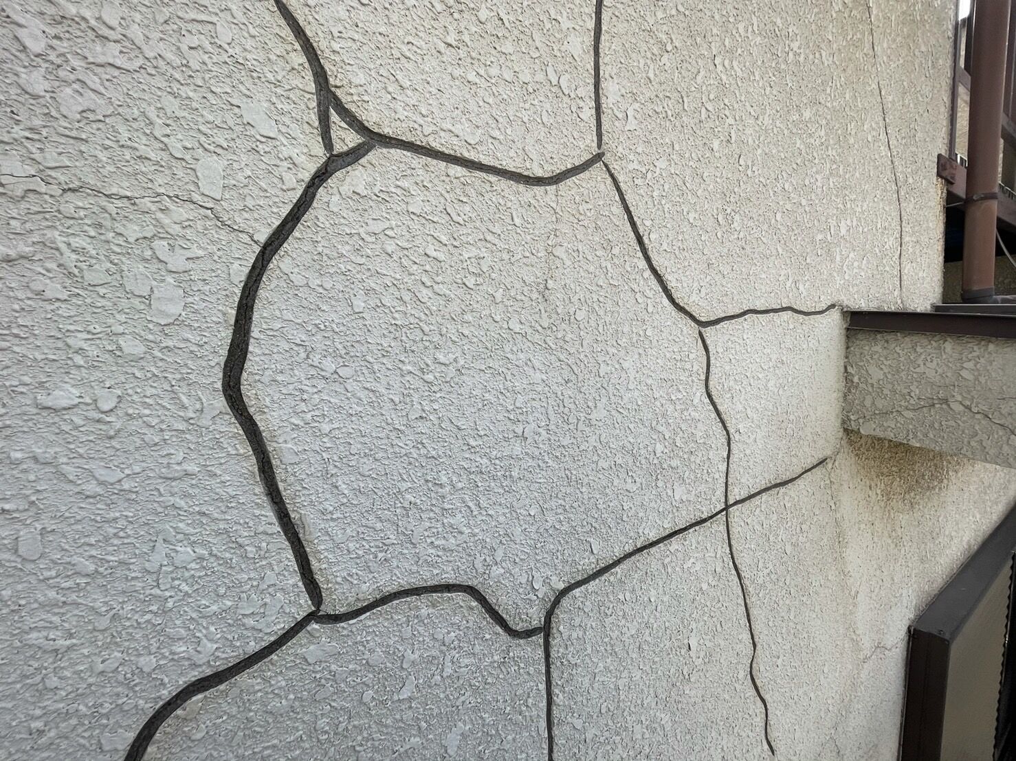 S__5251086